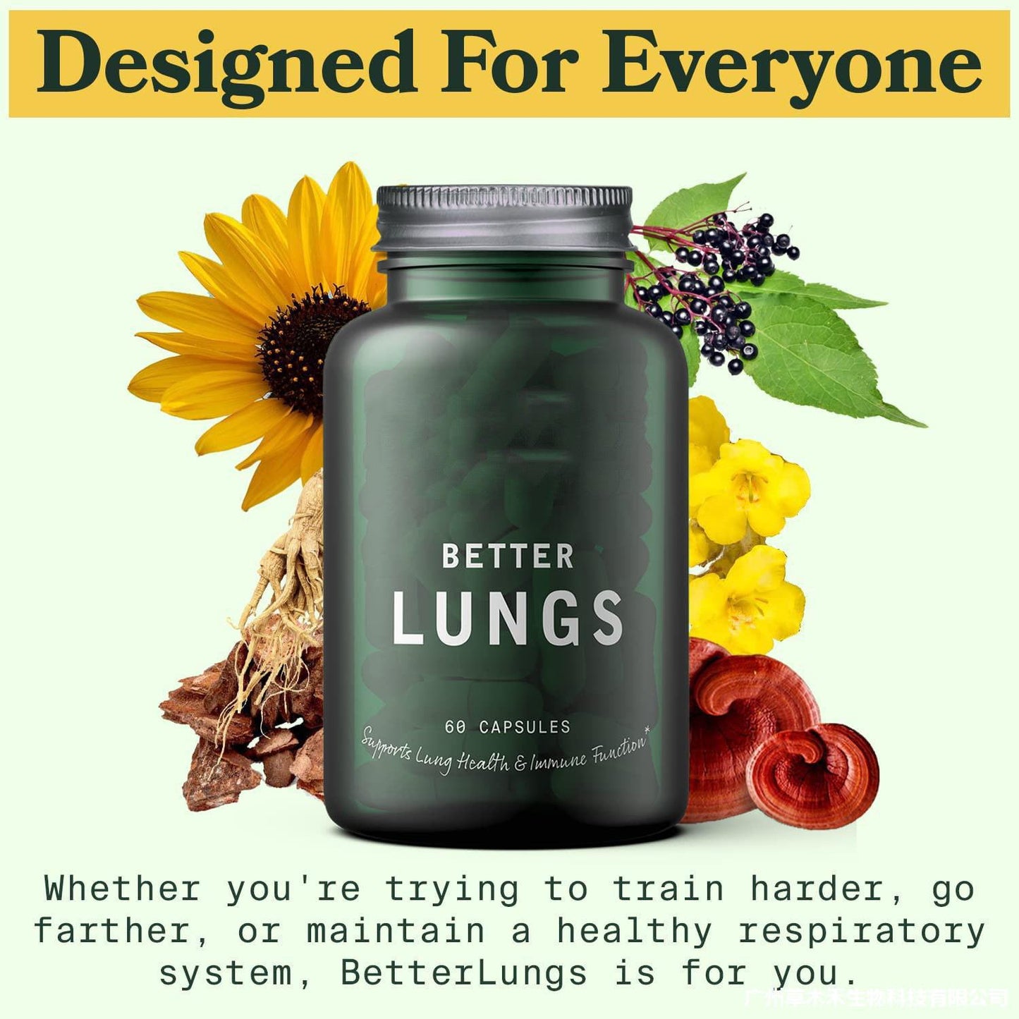 Natural lung health supplement featuring mullein leaf extract