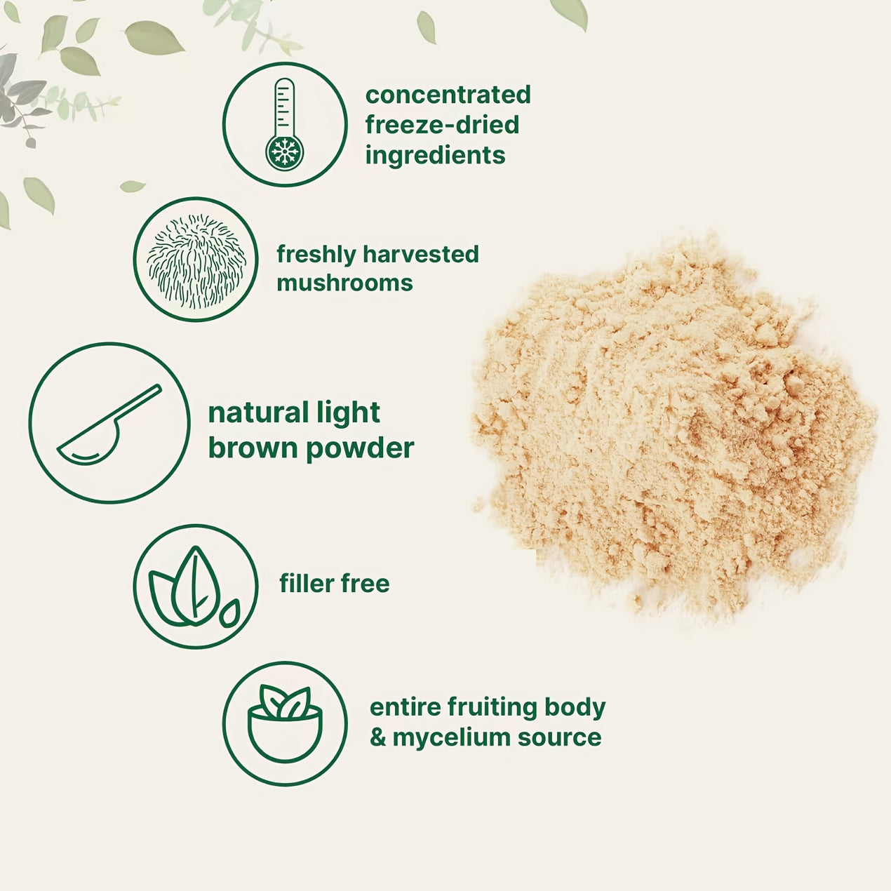 Vegan Non-GMO Lion's Mane Mushroom Powder