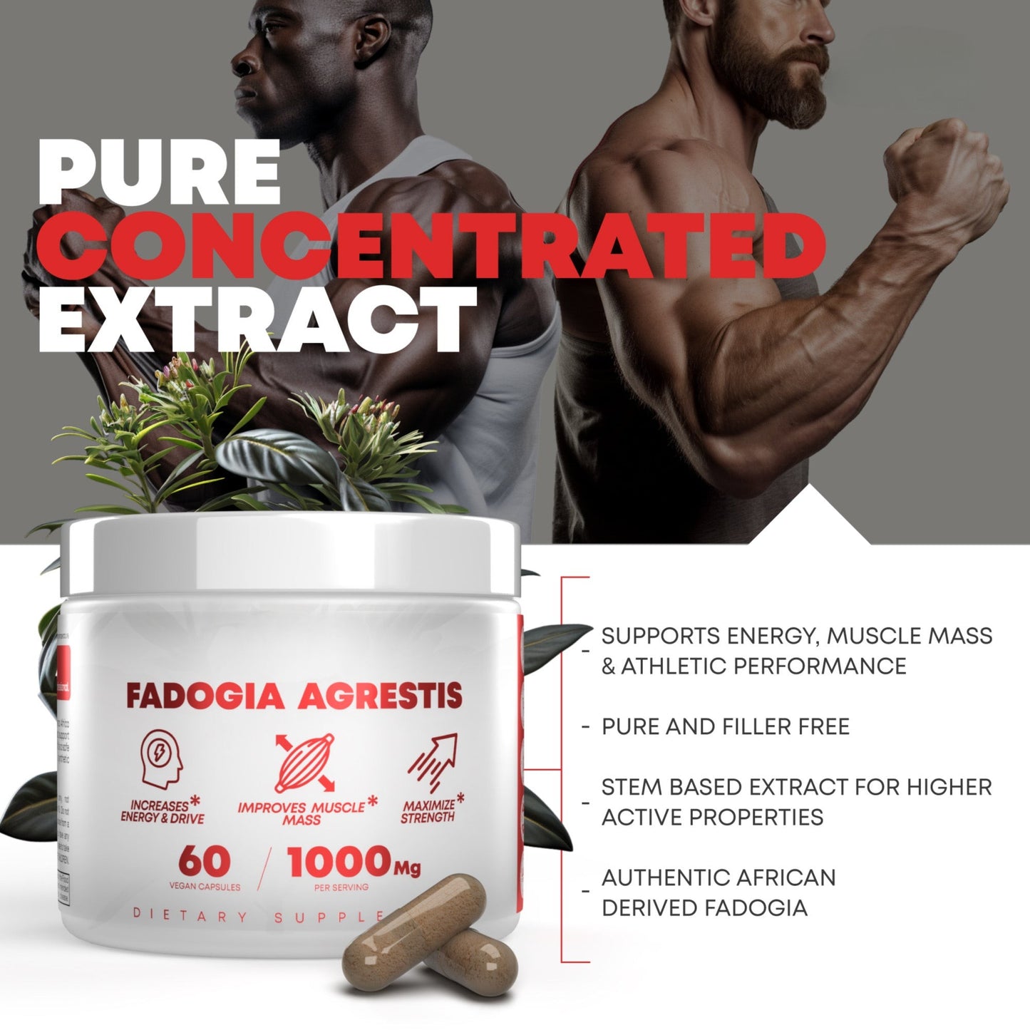 Fadogia Agrestis 1,000 mg