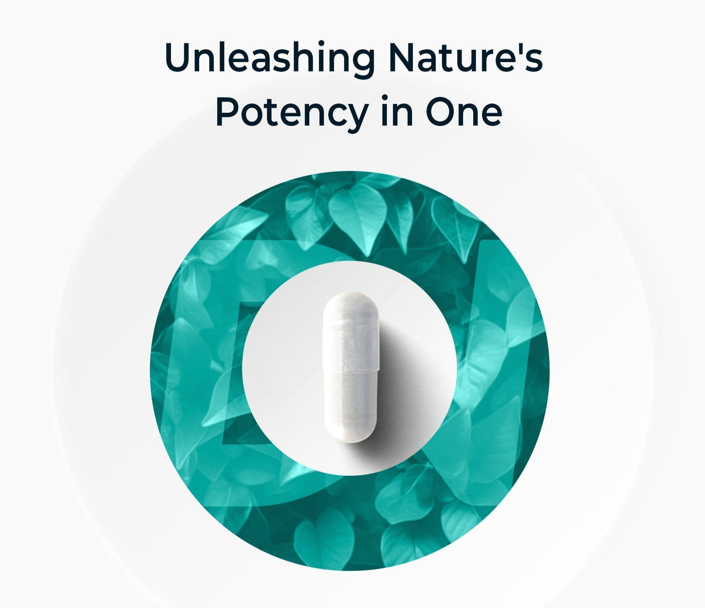 wellness supplement, barberry extract