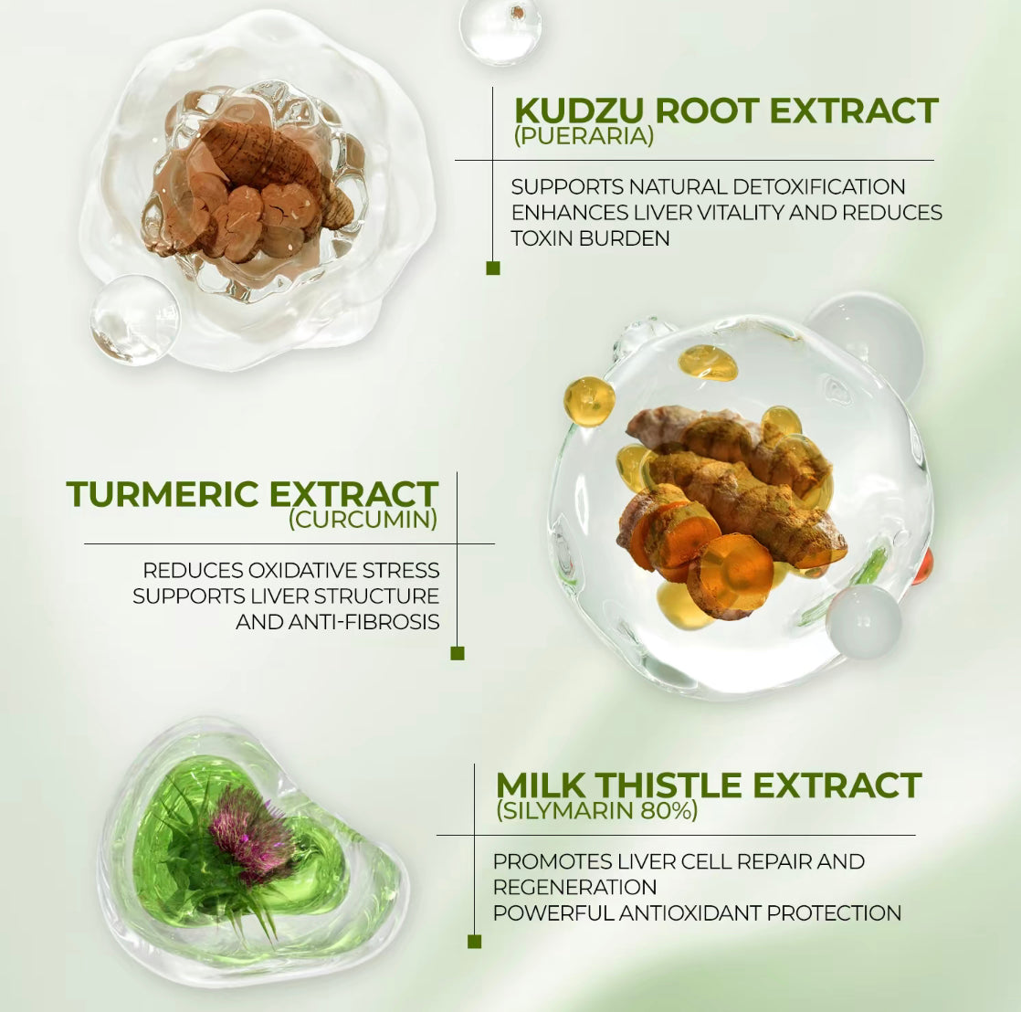 Milk Thistle Supplement – Vegan and Gluten-Free Non-GMO Plant-Based