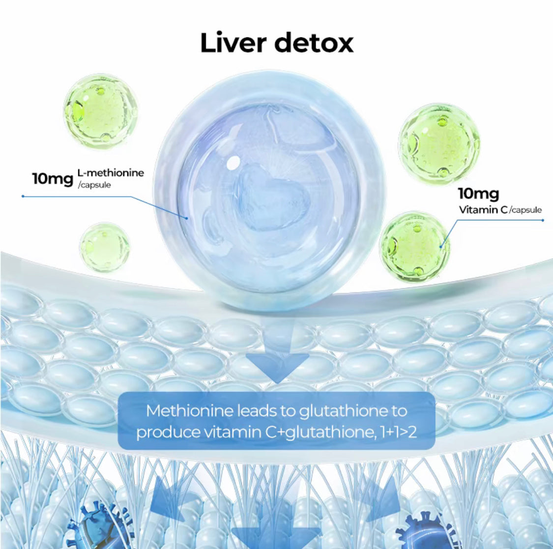 Milk Thistle Supplement L-Methionine, Vitamin C