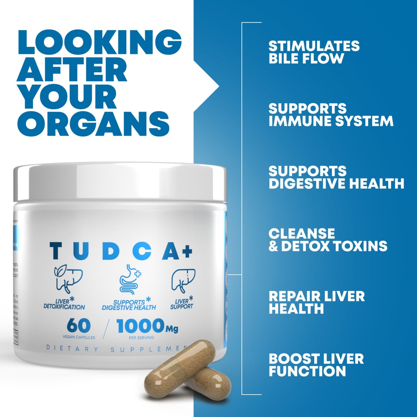 Non-GMO TUDCA supplement High-potency bile acid support supplement