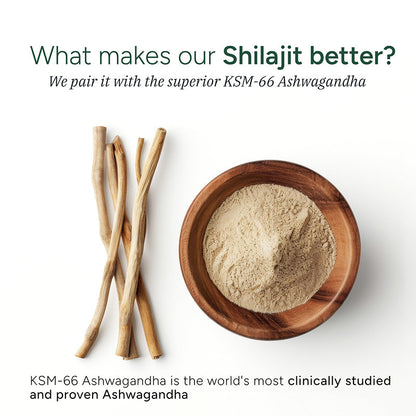 Vegan Shilajit Gummies with KSM-66 Ashwagandha