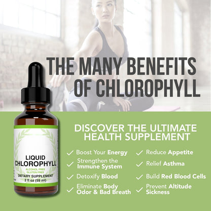 Daily Wellness Chlorophyll Supplement

