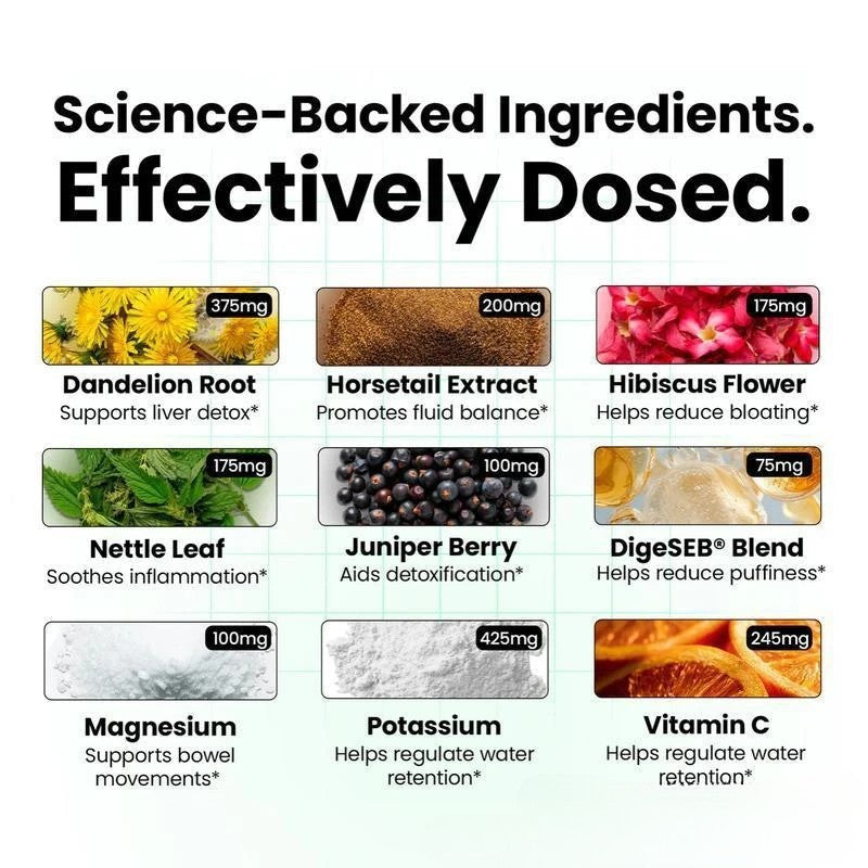 Gut health supplement capsules daily use Includes enzymes and botanicals
