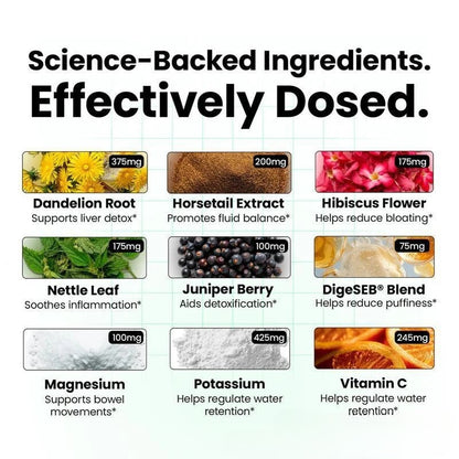 Gut health supplement capsules daily use Includes enzymes and botanicals