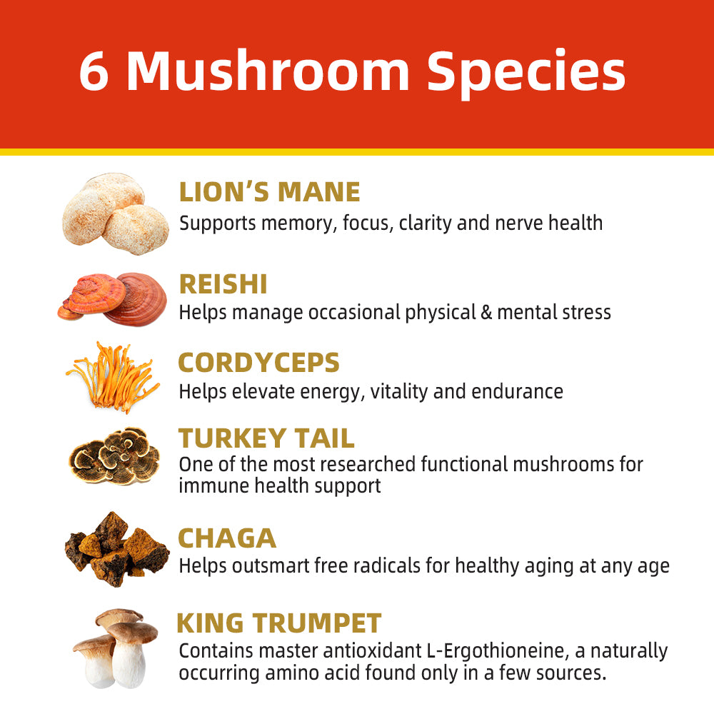 Mushroom Boost 10-mushroom Mix of lion’s mane, reishi, chaga blend powder
