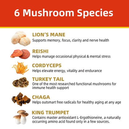 Mushroom Boost 10-mushroom Mix of lion’s mane, reishi, chaga blend powder