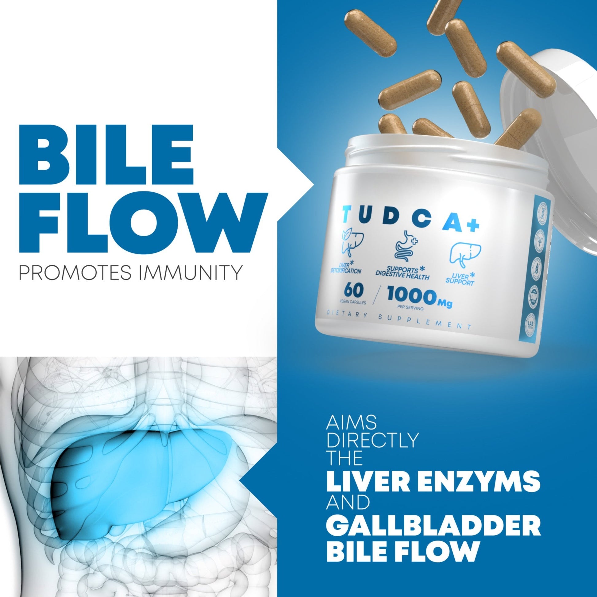 High-potency bile acid support supplement