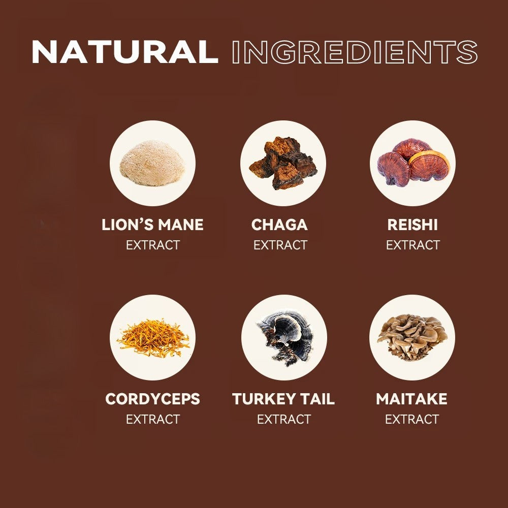 Mushroom Boost 10-mushroom organic Mix of lion’s mane, reishi, chaga blend powder