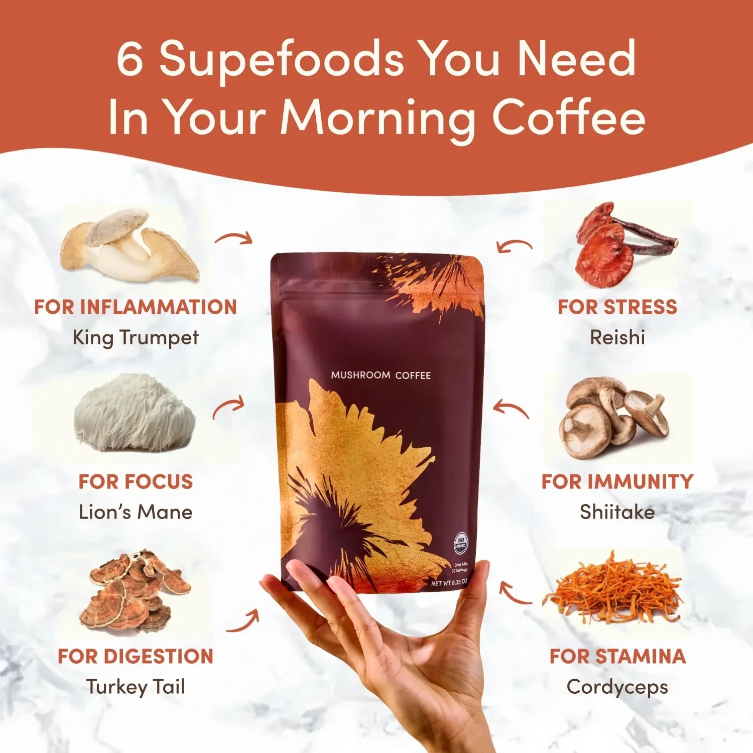 Superfood Creamer with Coconut Milk and Probiotics