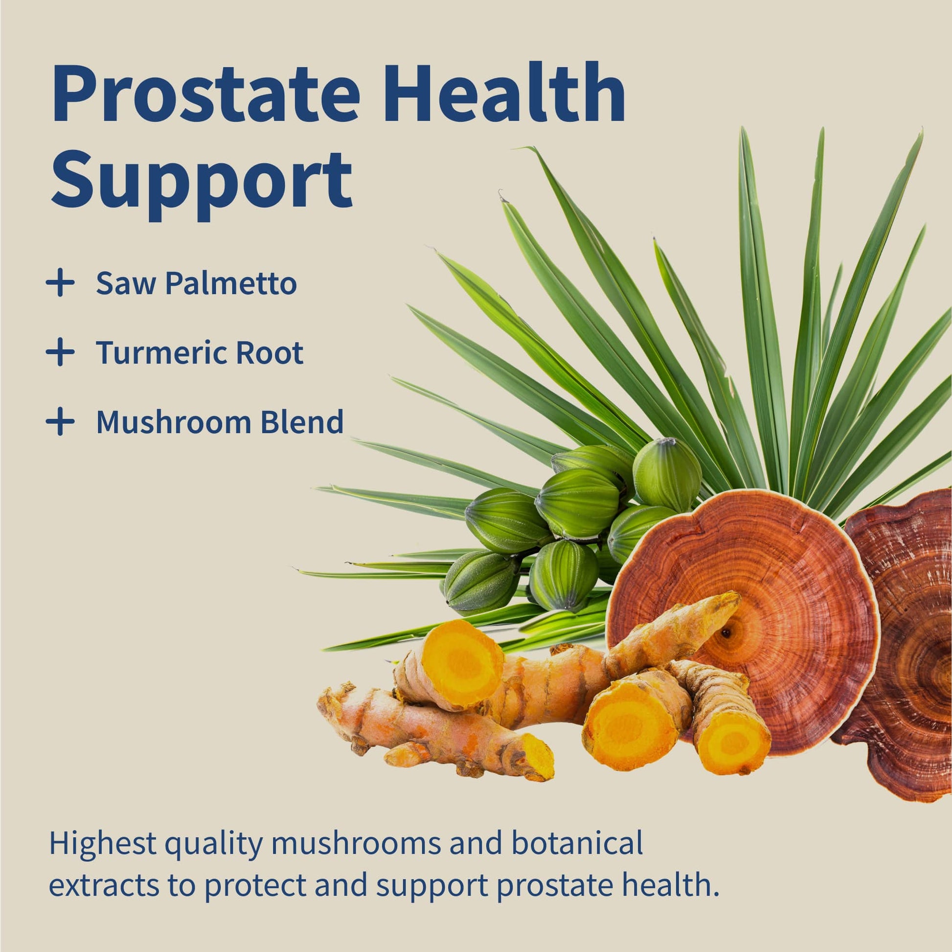 Herbal supplement for men's wellness