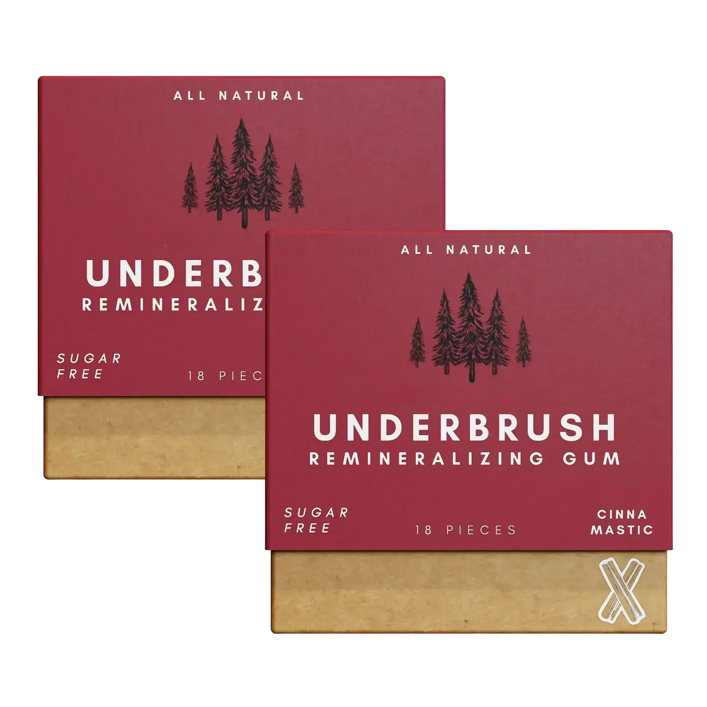 Remineralizing Gum package with hydroxyapatite 2 Pack Cinna-Mastic