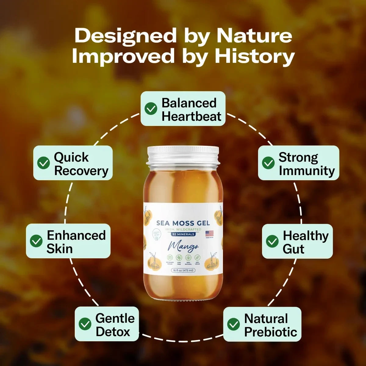 16 oz SeaMoss Irish Sea Moss Gel – Nutrient-Rich Superfood