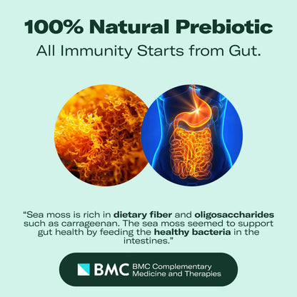 Natural Sea Moss Supplement