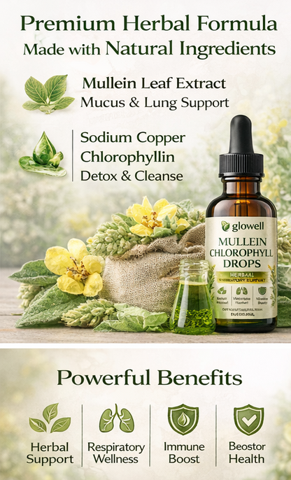 Mullein Leaf & Chlorophyll Herbal Tincture – Natural Extract, 2 oz